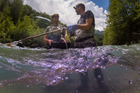 Scientists searching for rare softmouth trout. This species lives only in a few rivers on the Balkans, including Neretva.